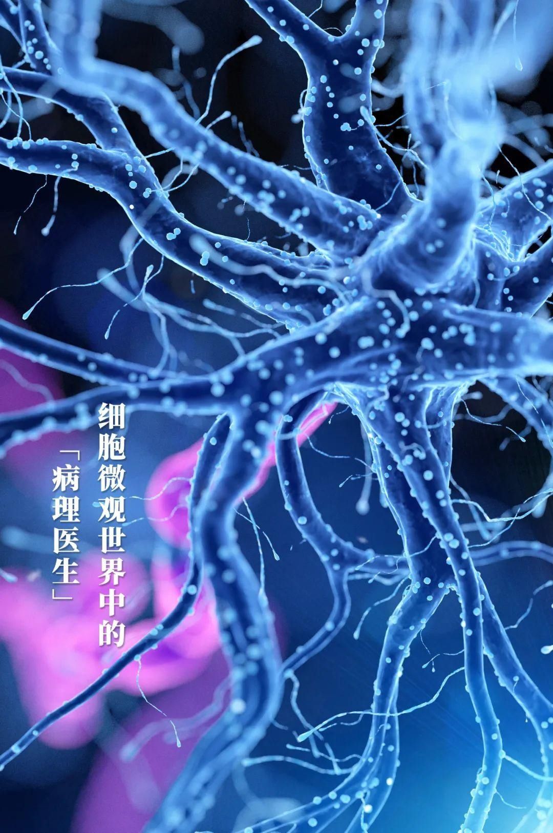 杨楚虎|智微信科：AI破解细胞病理诊断“困局”