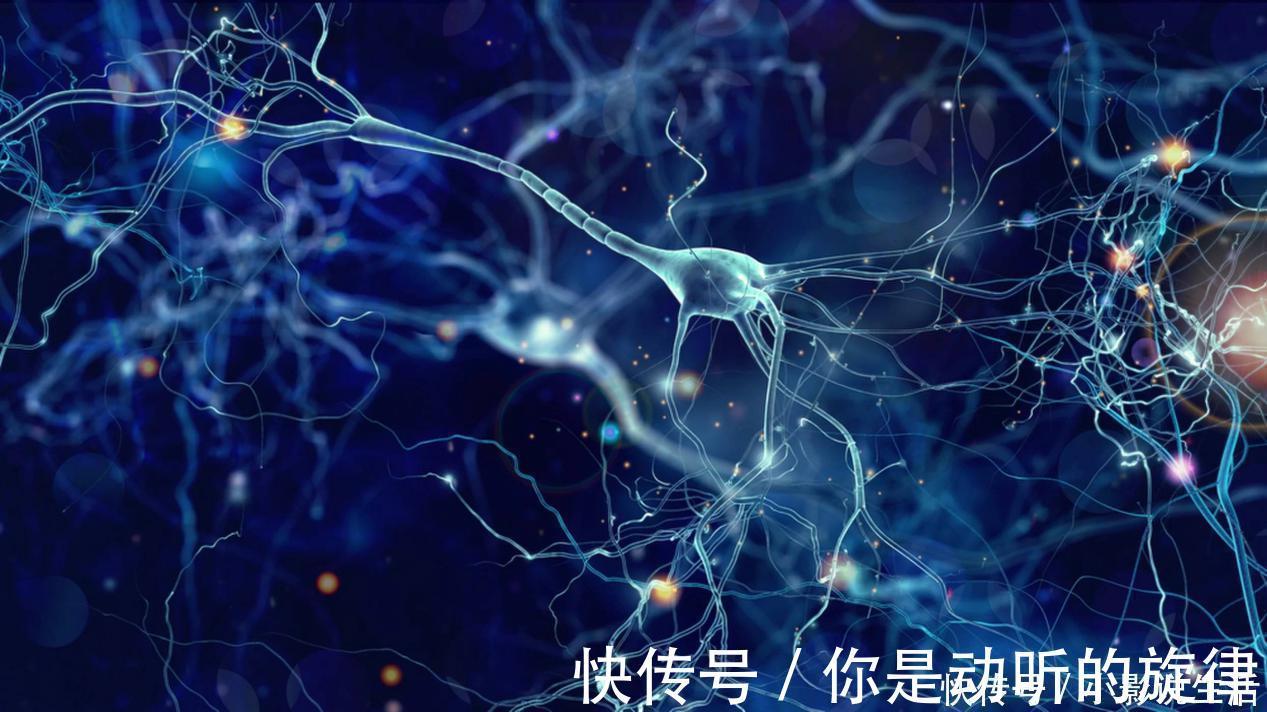 老人|老人怎么让大脑老得慢?坚持这5件事,身体会感谢你