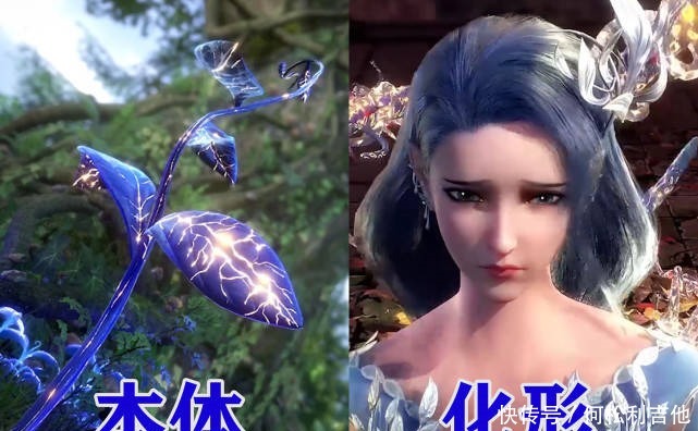 貓女|斗羅大陸10萬年魂獸化形前后,阿銀傳承活力,貓女特征明顯