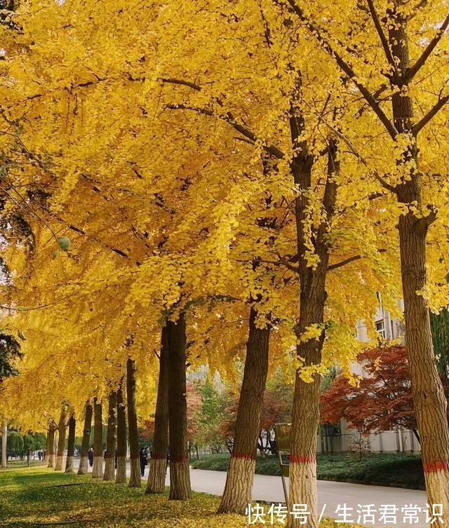 中国风 这个季节的色彩用首饰来表达,将珠宝佩戴在身,彰显浓浓的中国风!