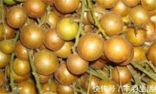 止咳化痰|食物养生很重要,常吃3种食物,排毒润肤,止咳化痰,补充营养