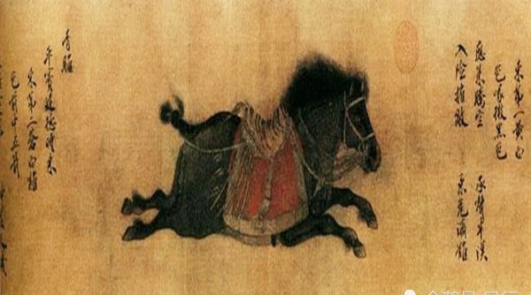 诸侯|唐太宗李世民灭诸侯建大唐,六匹战马如同兄弟一般伴随左右,见证了他的成功