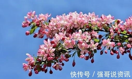 双鱼|下个月，似水流年，花香自来，念你极深，复合相依，相忘于江湖