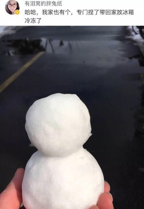 你冰箱里放的什么？反正我放的雪人！哈哈哈，南方人真的太可爱了