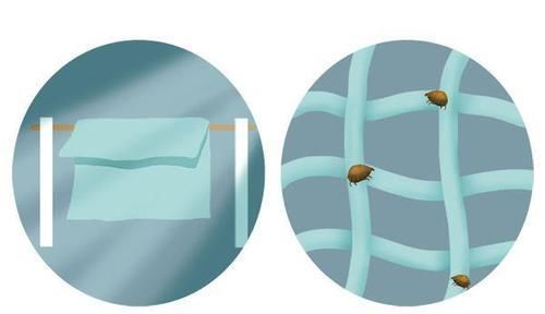 鼻子|鼻子上总能挤出很多白点,到底是什么送你妙招,鼻子变干净