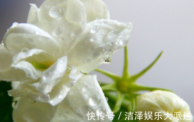 经期|“天然消炎药”，女性没事敞开吃，妇科炎症也许“绕道走”