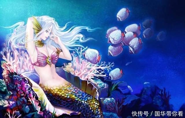 霍雨浩|斗罗大陆:小龙神的另一半竟有3位候选人,霍雨浩女儿呼声最高?