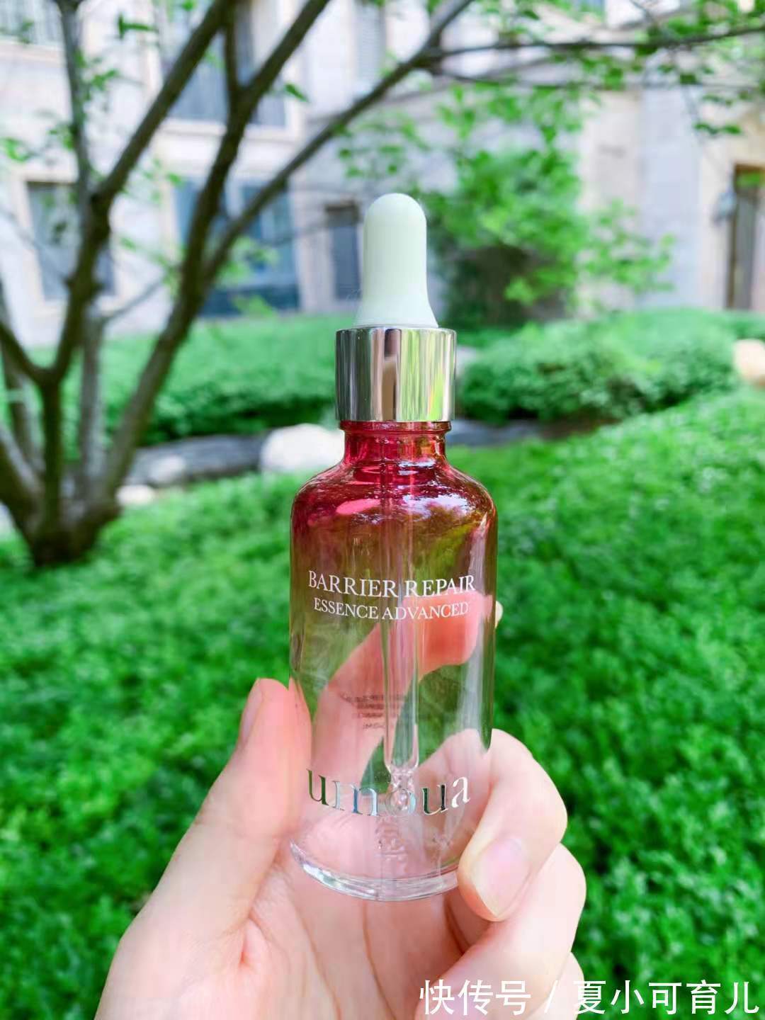 敏感肌 国货之光!盘点5款实力派国际护肤品,好用又安全,孕妈们囤起来