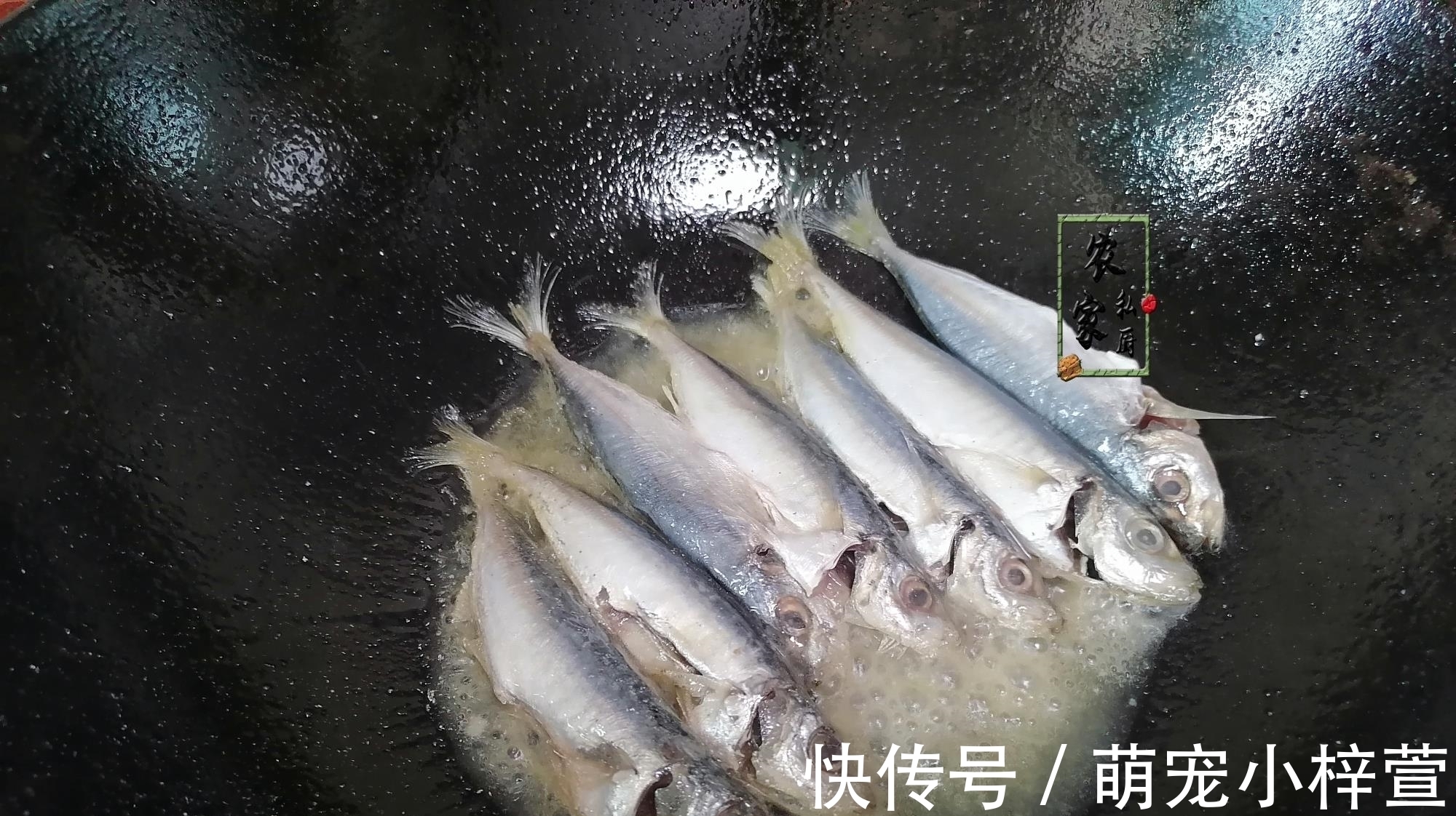 小海鱼|这3种鱼千万少吃或不吃,不仅含有重金属,吃多伤身,很多人不懂