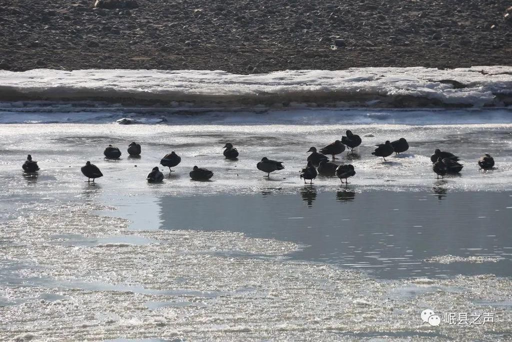 岷县的春夏秋冬，看不够！