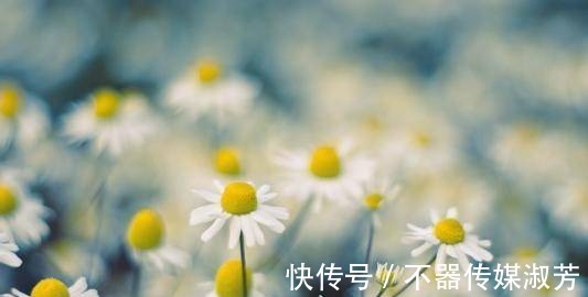丰子恺|生活哲理:人到中年,我们应该看透的3个生活真相