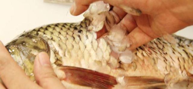 医生|隔夜菜，不能吃了？医生同学：除了这3种，其它的或许能放心吃