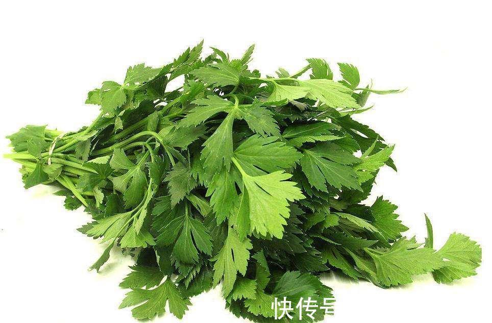 芹菜叶饼|芹菜叶都扔了那也太浪费了吧,这几种菜谱你试试!