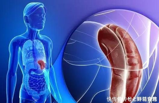 疾病|想要长寿的人,不论男女,日常牢记做好6点,长寿更“爱”你!