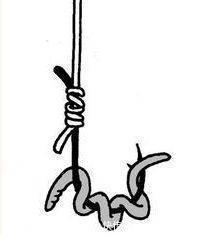 蚯蚓钓鱼效果好，但你挂对了吗，不同挂法效果不同