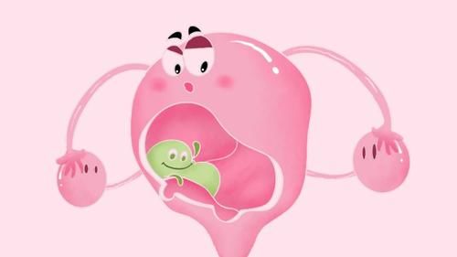 b超检查|子宫肌瘤一定要切除吗？切除后为何容易复发？看看医生怎么说