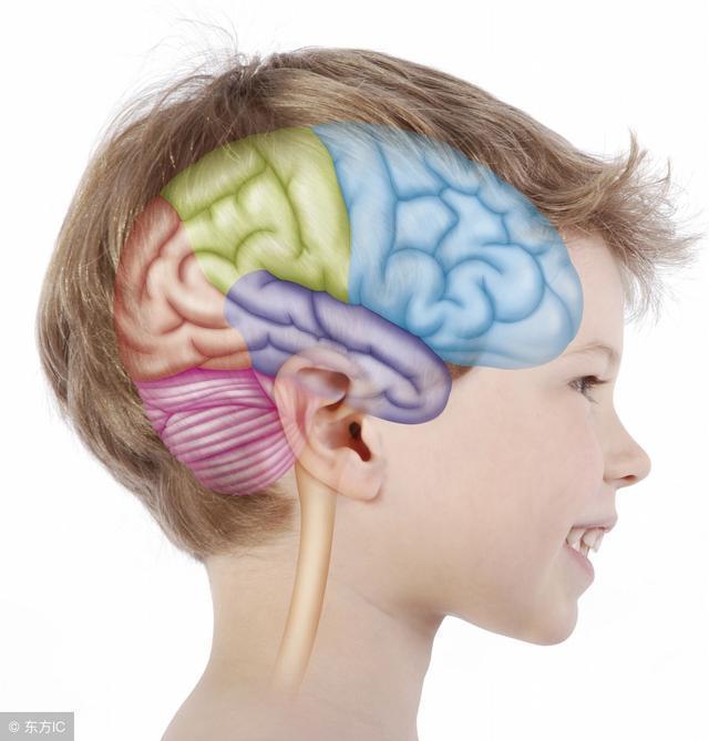 危害|高血压对心脑肾的危害有多大,真不是小事,医生的回答太令人吃惊