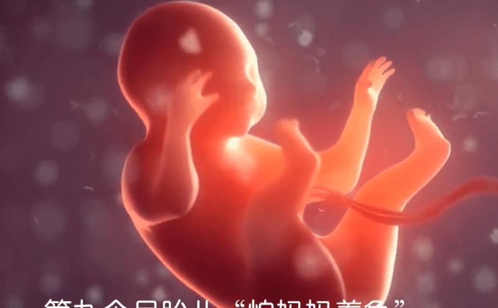 受精卵|胎儿在孕妈肚子里最怕啥怀胎十月,每个月都有不同的“脆弱点”