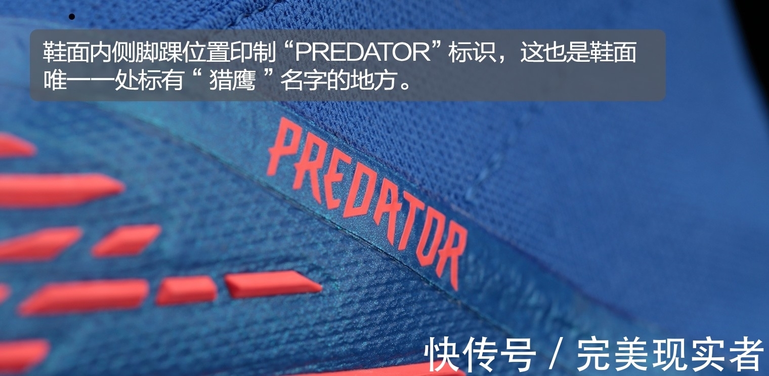 足球鞋|阿迪达斯Predator Edge+ AG“Sapphire Edge”足球鞋