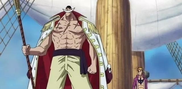 巴基|海贼王 巴基真的是隐藏的强者吗, 白胡子的话足以说明一切