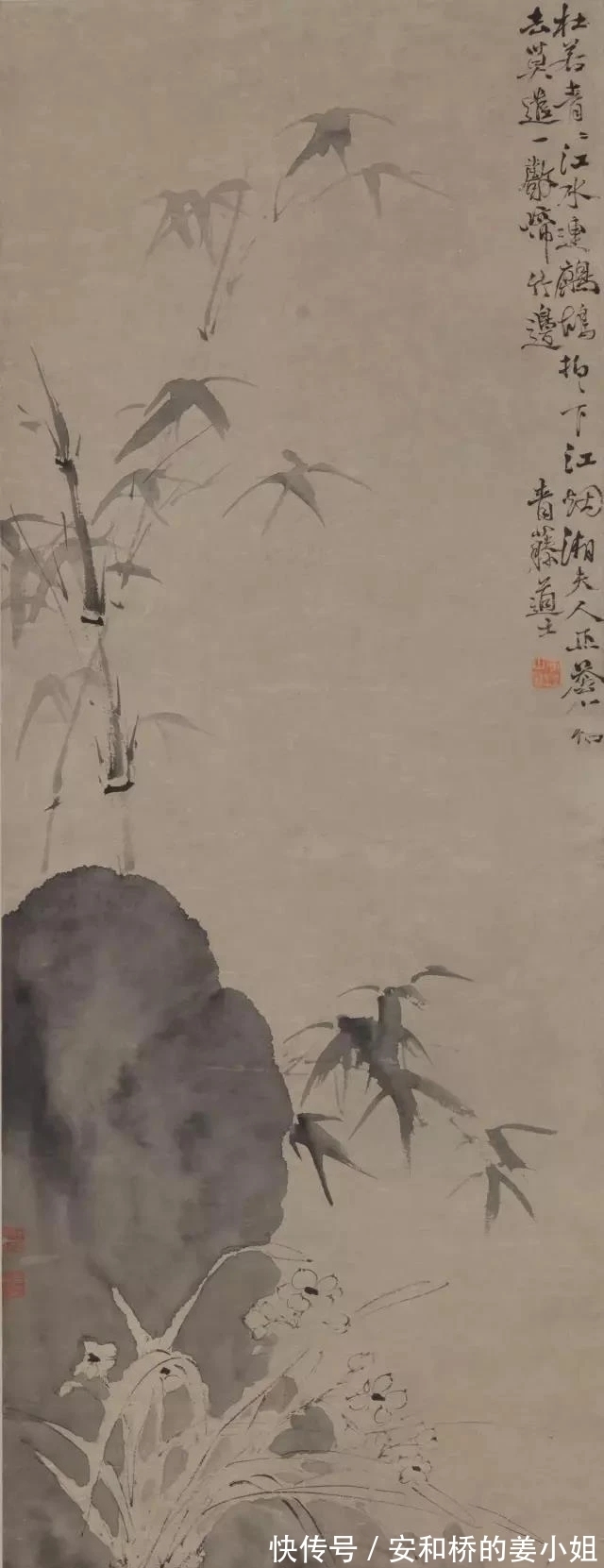 芭蕉！花鸟画一代宗师｜徐渭画竹，当在青藤之后，芭蕉之上，你认为呢？