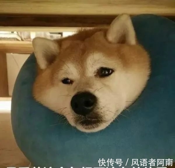 特色|中国哪个城市的土特产最好吃?