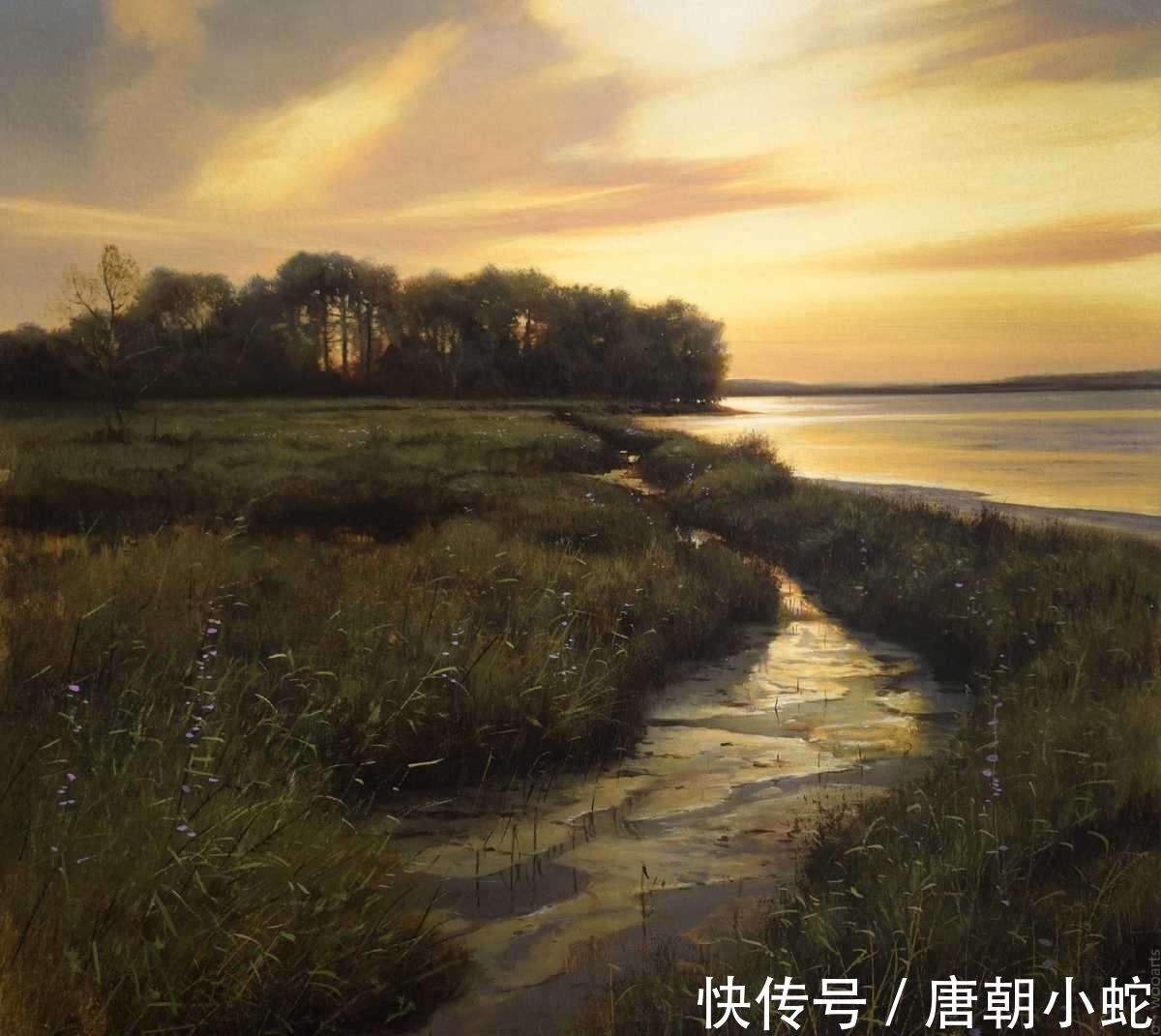 我是谁|艺术家的魔法——凝固最美的时刻,看看什么是真正的“风景如画”