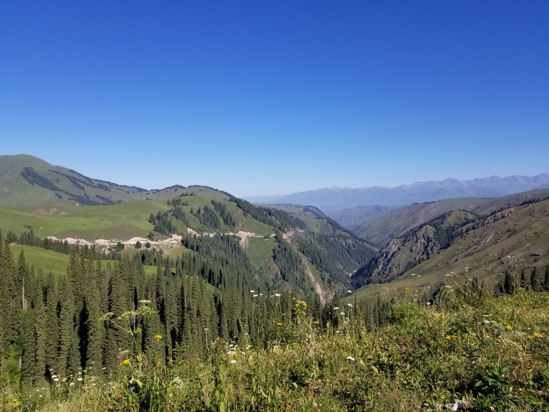 自驾独库公路，饱览天山风情