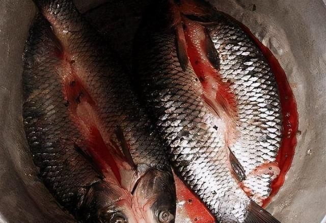 冬天|秋后,碰到草鱼我从不手软,一次买20斤,晒干存放,冬天吃特香