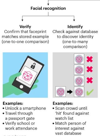 心怀|人脸识别登上Nature封面!看脸的世界,AI却心怀偏见