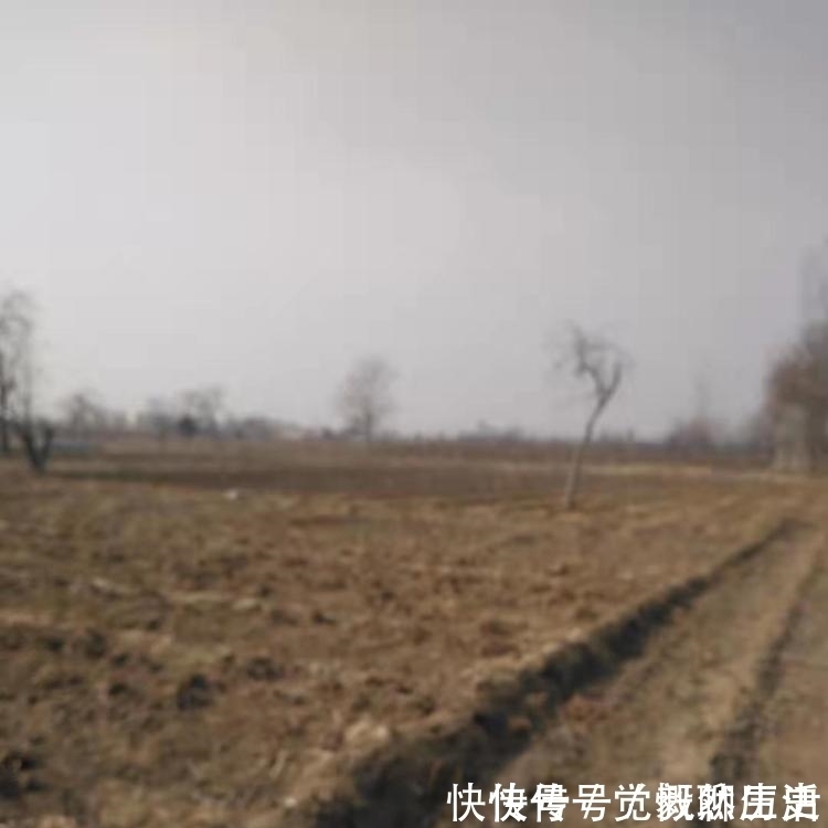 房产证|农村房屋产权证如何办理,农村房屋可以出售吗来看看吧