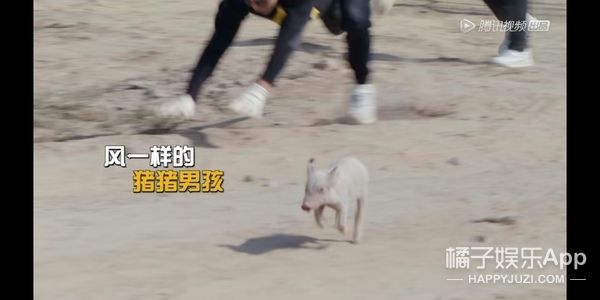 它逃，他追，它…跑的更飞？