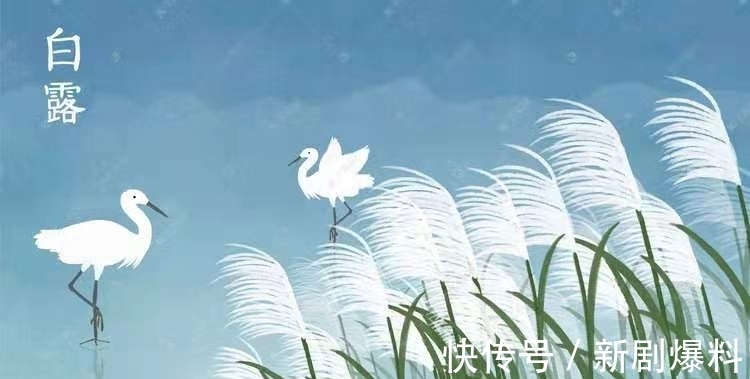 郑玉玲|白露诗词:人间最美是白露,祝君岁岁长安康