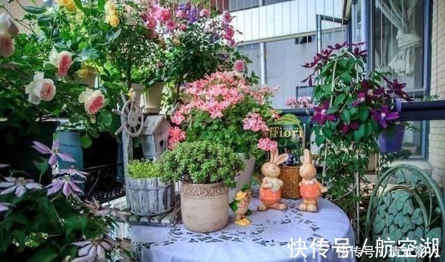 造园|7㎡迷你“阳台造园”小阳台这样布置,也能美成的花园!