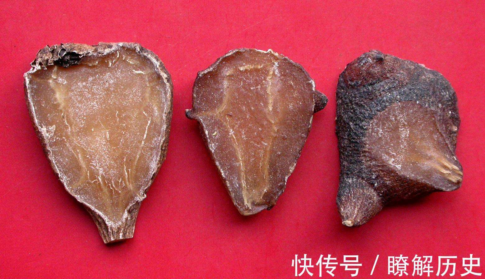 扶阳第一药|这味中药被誉为“扶阳第一药”,虽然毒性大,但作用却很神奇