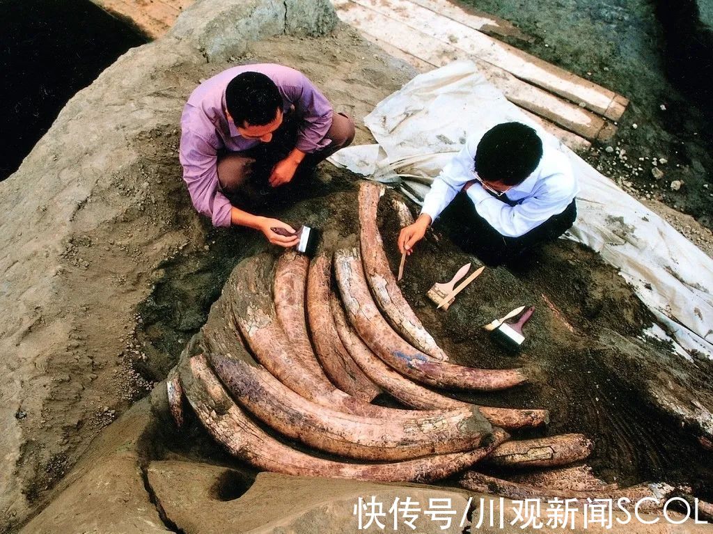 金沙遗址！联合申遗！三星堆×金沙正式签约