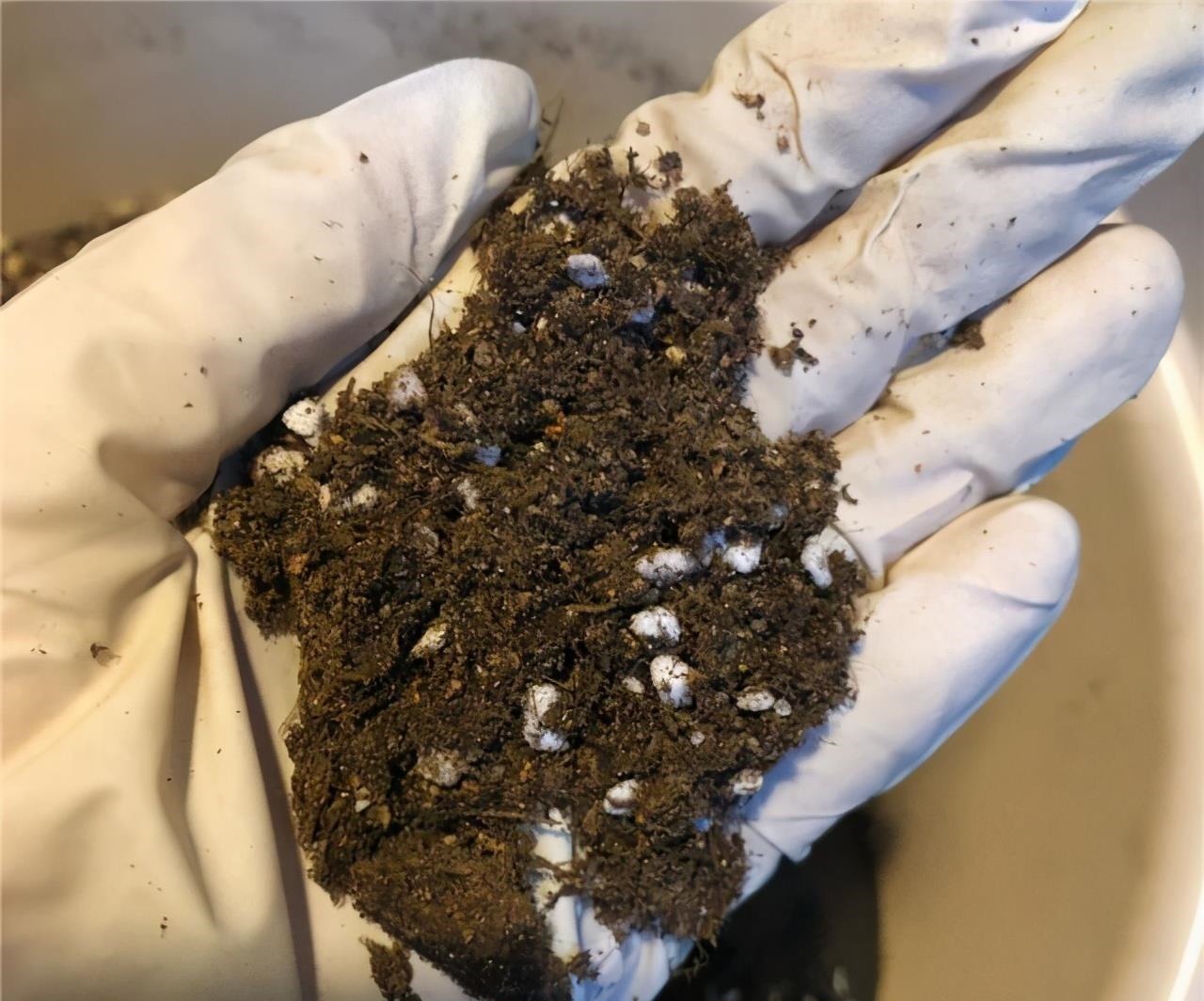 多肉喜“酸”还是喜“碱”？一个配土“小原则”，多肉个个养的棒