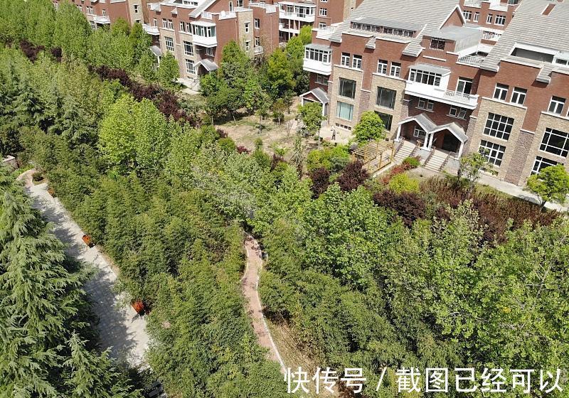 调控|密集的房地产调控，其背后的逻辑让人无法接受！
