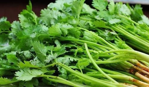 香菜籽丰富的香味成分,汤底食材配比