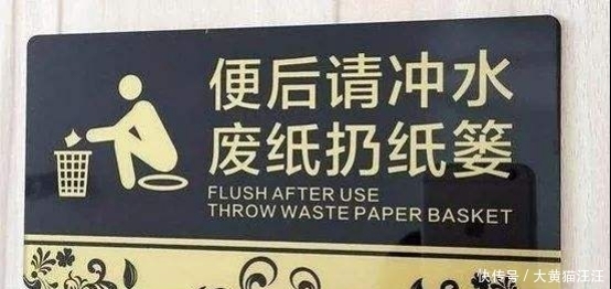去日本旅游,被告知用过的厕纸不能丢进纸篓,网友:真是奇葩要求!