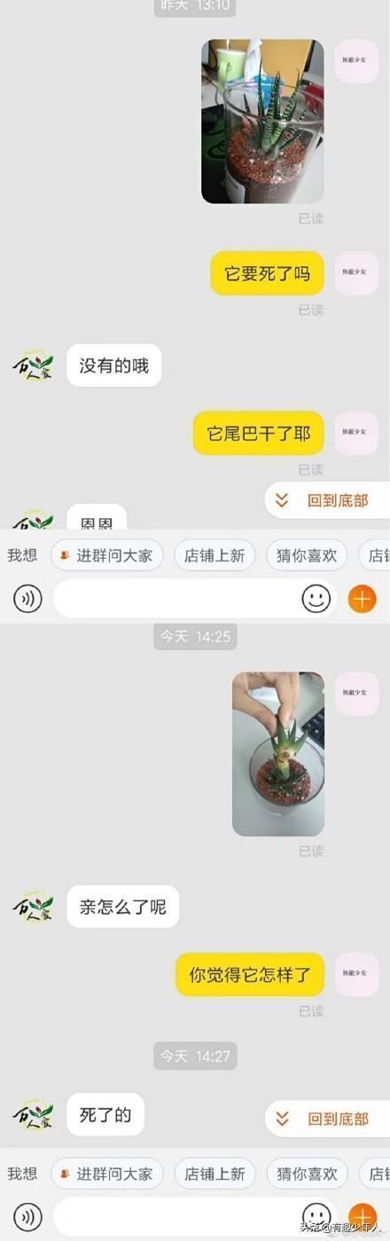 客服|网购时,你遇到过哪些沙雕客服或评论