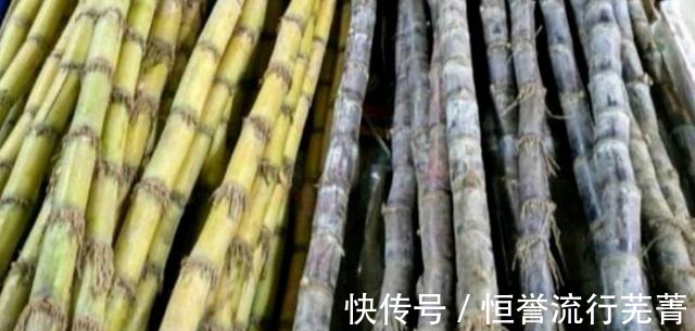 冬季药膳竹蔗羊肉汤!