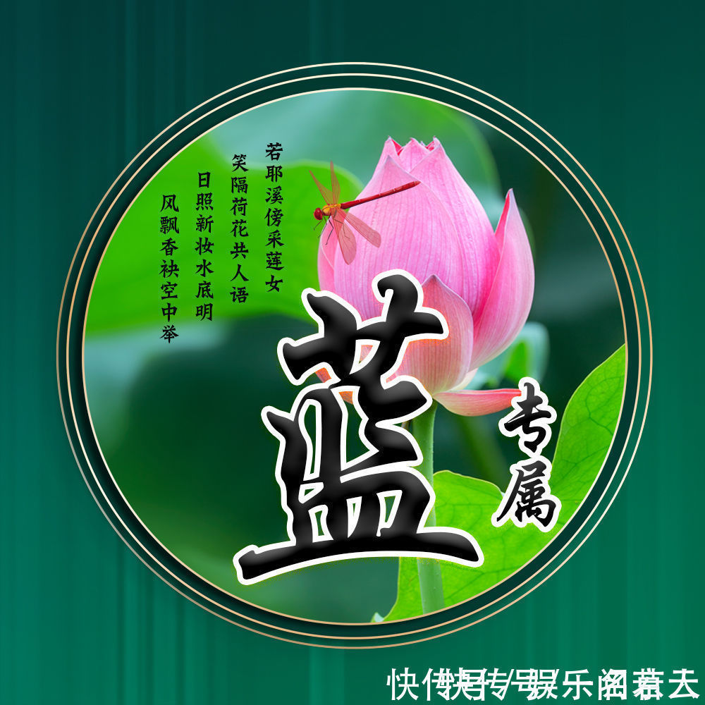 世人大!用你的姓氏当头像,20张唯美荷花大气图片,中国风华丽登场