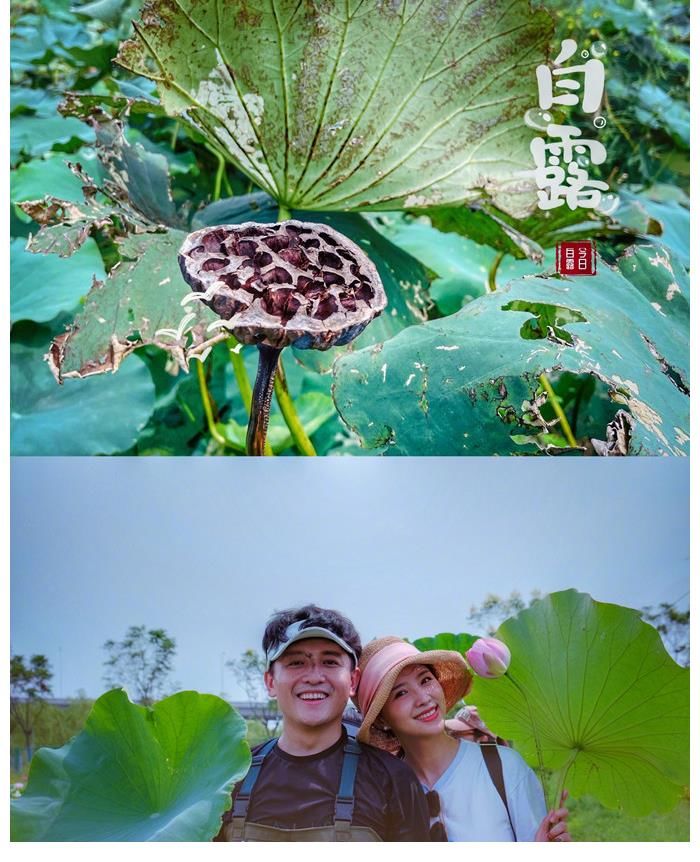 smg|上海主持百克力帶兒子下田挖藕！倆人滿臉淤泥依舊笑意滿滿