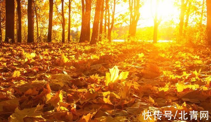 热水泡脚|今日秋分，阴阳相半人易病，学点规矩保健康！秋分，看这一篇就够了