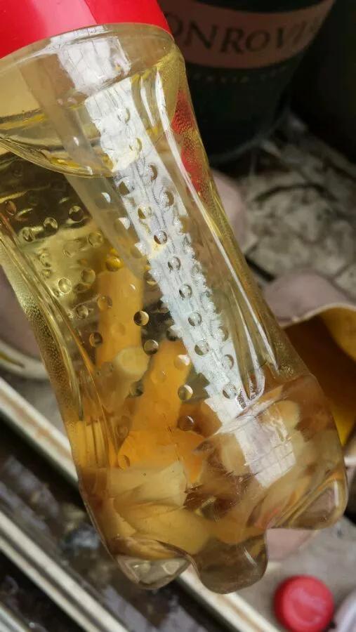 养花自制杀菌杀虫水,10天浇一勺,不生虫不得病,长得太旺!