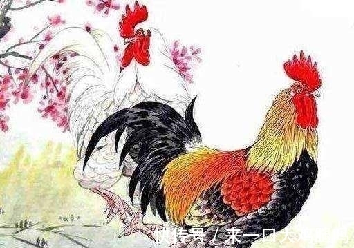 一口气|徐悲鸿画一只鸡卖368万,齐白石一口气画7只,一下子卖3416万