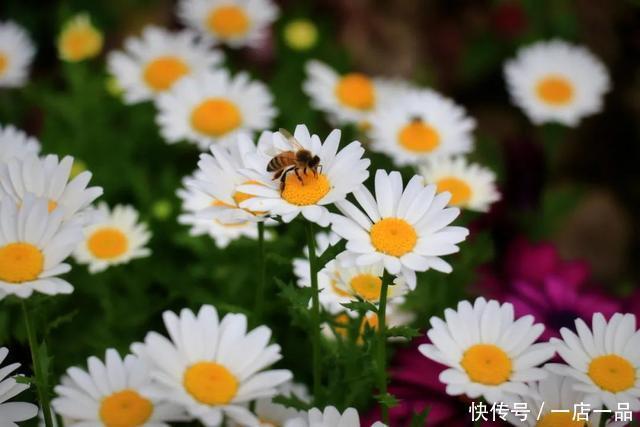 花博南园最大单体建筑开业，听鸟语、赏美景，等你来打卡咯！