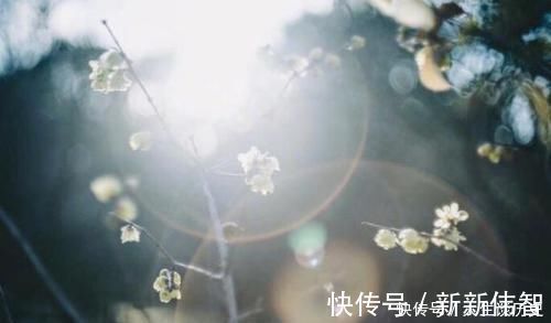 伤春&王安石特别唯美一首词,感情细腻,结尾更流传千年,宰相也柔情