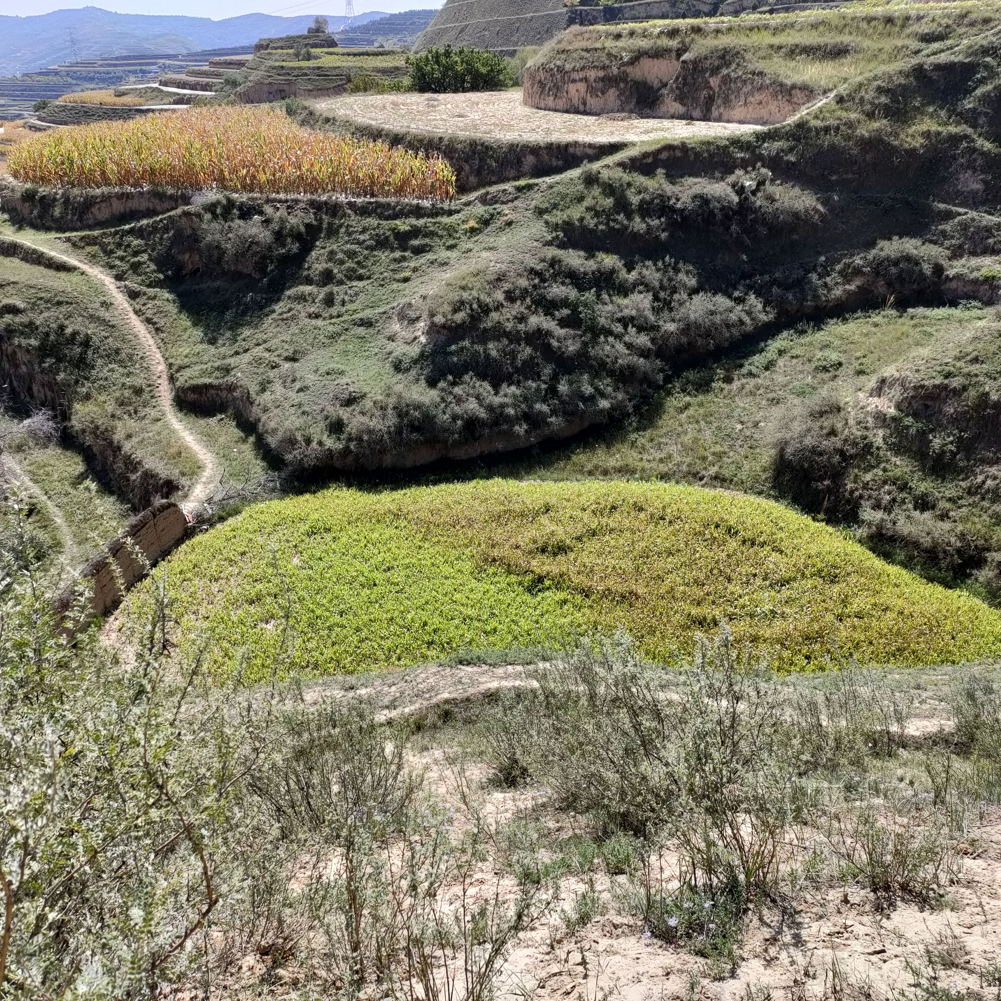 垭口|川进青出-8500公里-只为圣地西藏